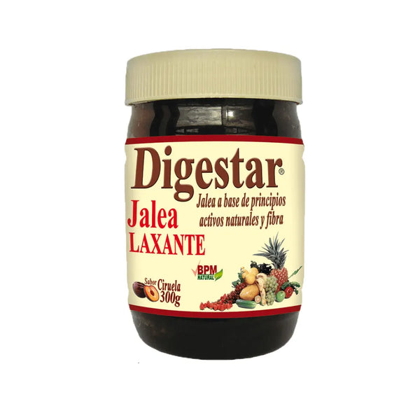 Digestar Jalea Frasco X 300 Grs