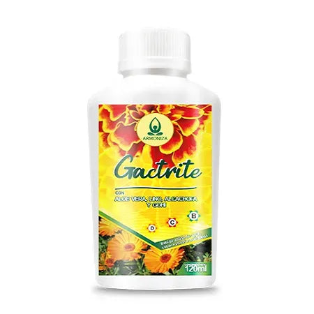 Gactrite Armoniza Con Ale Vera X 120 Ml